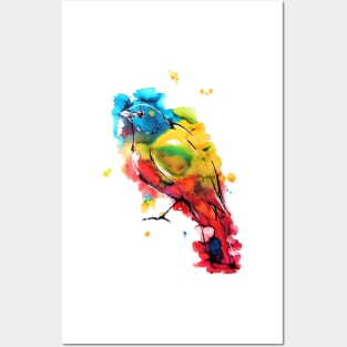 Painted Bunting Posters and Art